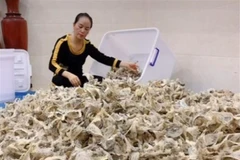 Yến sào Chư Sê (Gia Lai) đang ngày một khẳng định thương hiệu trên thị trường. (Ảnh: TTXVN)