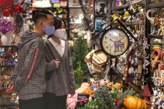 (Ảnh: Tuấn Đức/TTXVN)