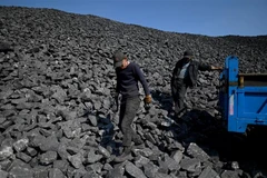 Ảnh minh họa. (Ảnh: AFP/TTXVN)