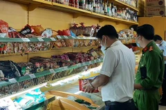 Ảnh minh họa. (Ảnh: Tuấn Kiệt/TTXVN)