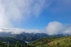 Ảnh minh họa. (Ảnh: Hưng Thịnh/TTXVN)