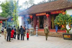 Ảnh minh họa. (Ảnh: Xuân Tư/TTXVN)