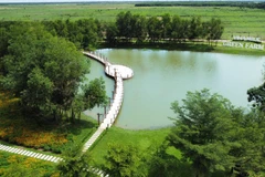 Vinamilk Green Farm - Mô hình trang trại bò sữa phát triển bền vững