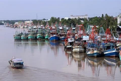 Nhiều tàu cá đã nằm bờ 3-4 tháng nay do giá xăng tăng cao. (Ảnh: Lê Huy Hải/TTXVN)