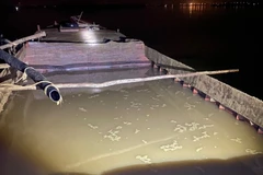 Ảnh minh họa. (Ảnh: TTXVN)