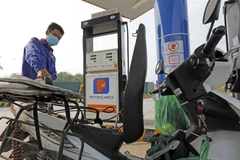 Ảnh minh họa. (Ảnh: Trần Việt/TTXVN)