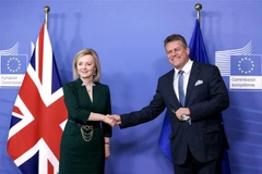 Bà Liz Truss trong cuộc gặp Phó Chủ tịch Ủy ban châu Âu Maros Sefcovic ở Brussels (Bỉ), ngày 21/2/2022. (Ảnh: AFP/TTXVN)