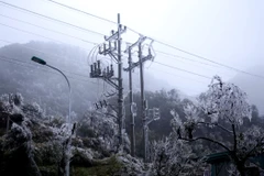 Trạm biến áp tại khu vực đèo Ô Quý Hồ đều được bao phủ một màu trắng. (Ảnh: Quý Trung/TTXVN)