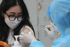 Ảnh minh họa. (Ảnh: Minh Quyết/TTXVN)