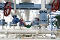 Ảnh minh họa. (Ảnh: AFP/TTXVN)