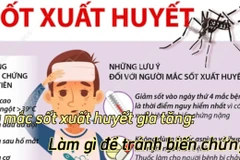 [Audio] Ca mắc sốt xuất huyết gia tăng: Làm gì để tránh biến chứng?