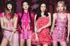 BTC đêm nhạc BlackPink cam kết nộp tiền tác quyền trước 'giờ G'