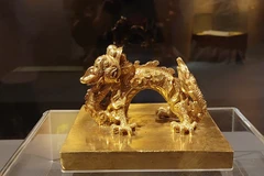 Ngắm ấn vàng, kim sách trưng bày trong không gian nghệ thuật sắp đặt ánh sáng