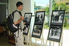 Một góc triển lãm. (Ảnh: Internet)