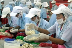 Ảnh chỉ mang tính minh họa. (Nguồn: Thế Thuần/TTXVN)