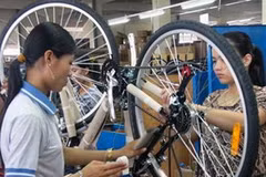 Ảnh chỉ mang tính minh họa. (Nguồn: Internet)