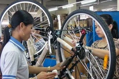 Ảnh chỉ mang tính minh họa. (Nguồn: Internet)