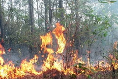 Ảnh chỉ mang tính minh họa. (Nguồn: TTXVN)