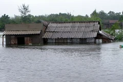 Đến ngày 7/10, nhiều hộ dân ở xã Cam Thủy, huyện Lệ Thủy còn ngập sâu trong nước. (Ảnh: Quang Ngọc/TTXVN)