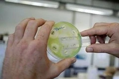 Ảnh chỉ mang tính minh họa. (Nguồn: Internet)