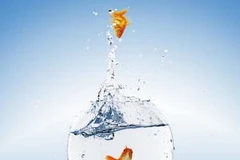 Ảnh chỉ mang tính minh họa. (Nguồn: Internet)