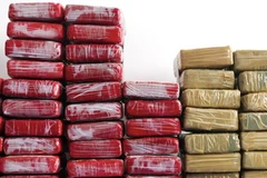 Côcain. (Ảnh: AFP/TTXVN)