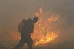 Lính cứu hỏa đang cố dập tắt đám cháy. (Ảnh: Reuters)