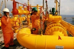 Vận hành thiết bị đưa khí từ mỏ Rạng Đông về mỏ Bạch Hổ. (Ảnh: Hà Thái/TTXVN)