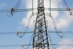 Ảnh chỉ mang tính minh họa. (Nguồn: Internet)