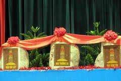 Đá san hô biểu tượng chủ quyền của Trường Sa. (Ảnh: Đinh Mạnh Tú/TTXVN)