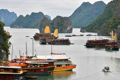 Phong cảnh Vịnh Hạ Long (Quảng Ninh). (Ảnh: Trọng Đạt/TTXVN)