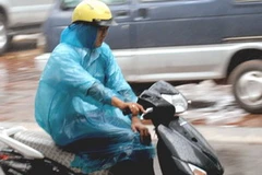 Ảnh chỉ mang tính minh họa. (Nguồn: Internet)