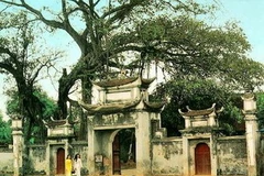 Ảnh chỉ mang tính minh họa. (Nguồn: Internet)