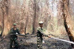 Ảnh chỉ mang tính minh họa. (Nguồn: Lê Huy Hải/TTXVN)