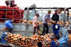 Xuất nhập khẩu hàng hóa qua cửa khẩu phụ. (Ảnh: Internet)