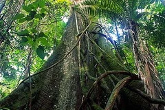 Ảnh chỉ mang tính minh họa. (Nguồn: Internet)