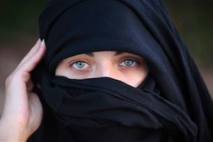 (Nguồn: Havelian.net)