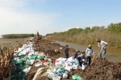 Khắc phục sự cố sạt lở đê. (Ảnh minh họa. Nguồn: TTXVN)