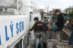 (Ảnh: Đoàn Hữu Trung/TTXVN)