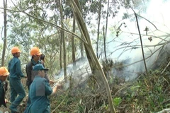 Ảnh minh họa. (Nguồn: TTXVN)