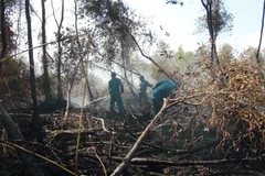 Lực lượng chức năng khẩn trương phun nước dập đám cháy rừng trong Vườn quốc gia U Minh Hạ. (Ảnh: Huỳnh Thế Anh/TTXVN)