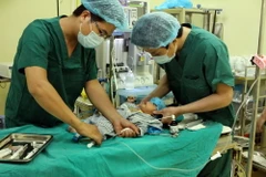 Phẫu thuật cho bệnh nhi 1,5 tháng tuổi bị thoát vị bẹn. (Ảnh: Dương Ngọc/TTXVN)