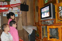 Ảnh minh họa. (Nguồn: TTXVN)