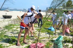 Thanh niên, sinh viên kiều bào tham gia trồng cây ven biển Đà Nẵng. (Ảnh: Đinh Văn Nhiều/TTXVN)