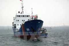 (Ảnh minh họa: Đăng Lâm/TTXVN)