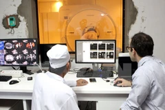 Ảnh minh họa. (Nguồn: TTXVN)