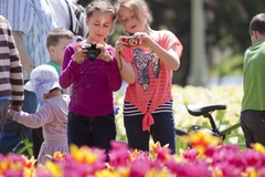 (Ảnh minh họa. Nguồn: ottawatourism.ca)