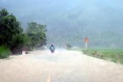 Ảnh chỉ có tính minh họa. (Ảnh: Quang Đán/TTXVN)