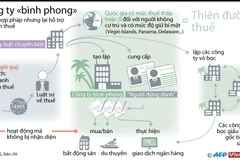 Công ty bình phong hỗ trợ việc trốn thuế.
