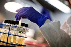 Ảnh minh họa. (Nguồn: AP)